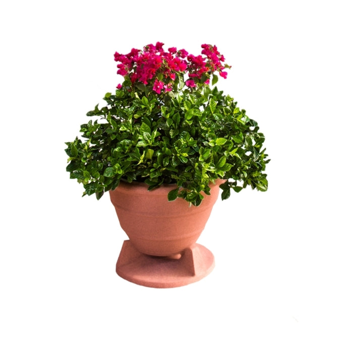 Rockustics OMNIPLANTER 6.5 SSPOT-TC Planter Speaker