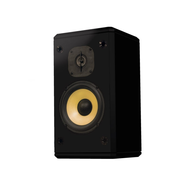 Induction Dynamics S2.C-BG Loudspeaker