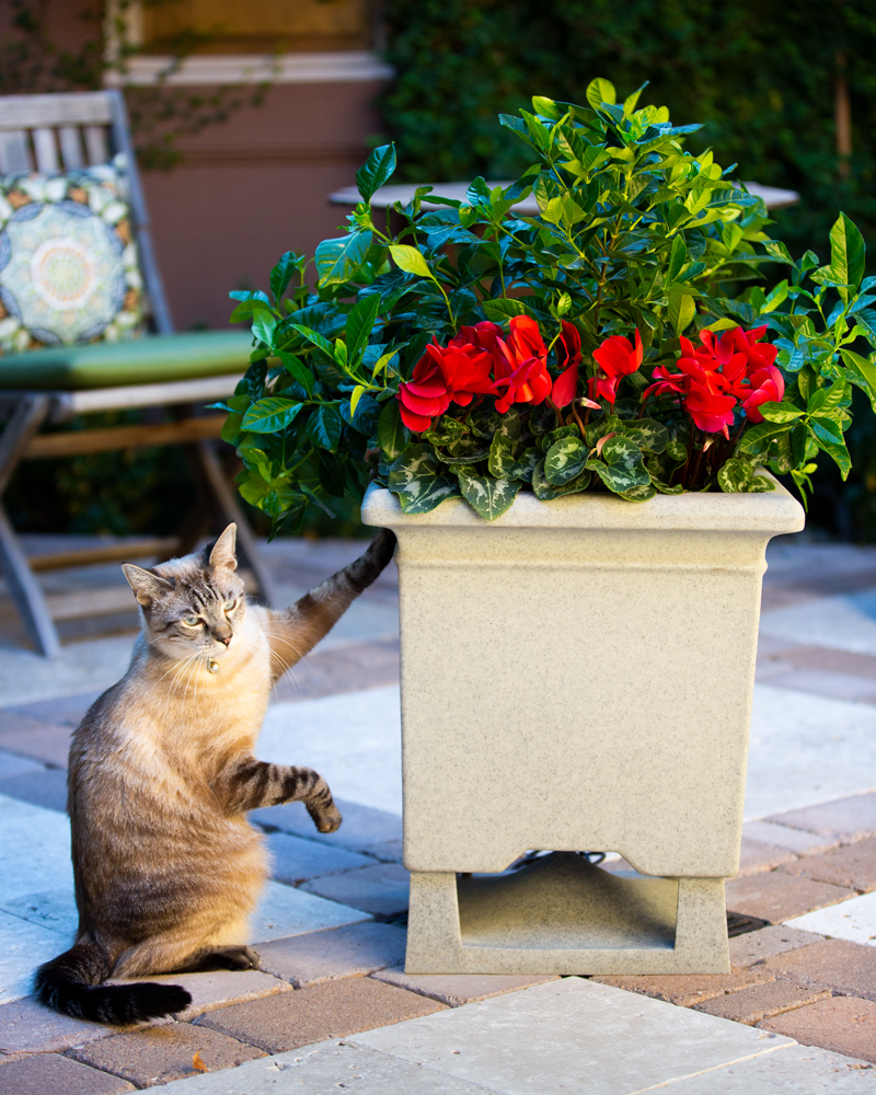 Outdoor Speakers