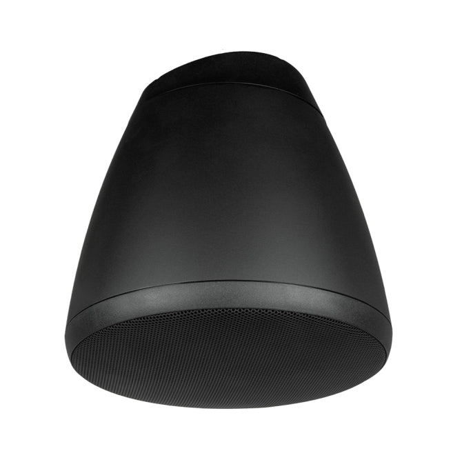 Soundtube IPD-RS62-EZ-BK Dante Series Pendant Speaker