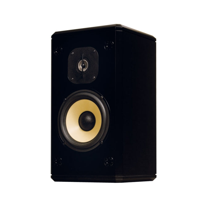 Induction Dynamics S2-BG Loudspeaker